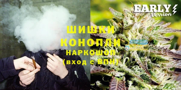 ECSTASY Дмитриев
