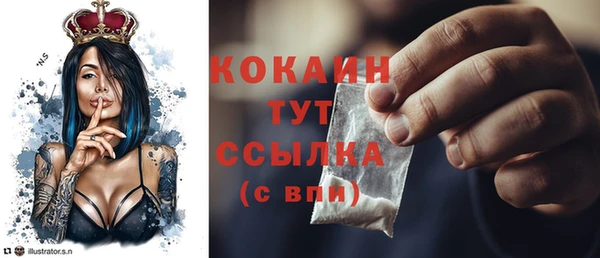 амф Протвино