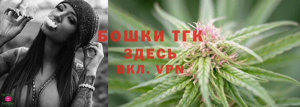 ECSTASY Дмитриев