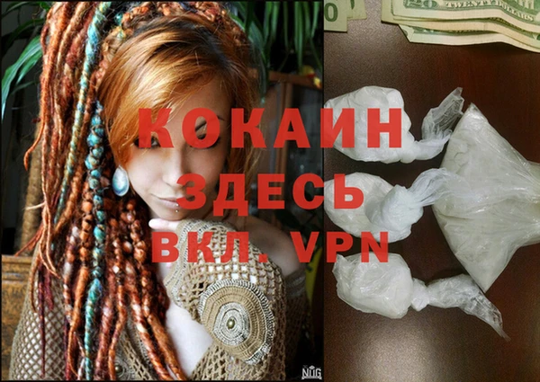 ECSTASY Дмитриев