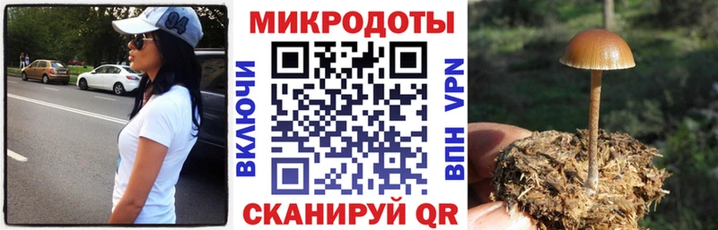 наркошоп  Севск  Псилоцибиновые грибы мухоморы 